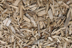 biomass boilers Finwood